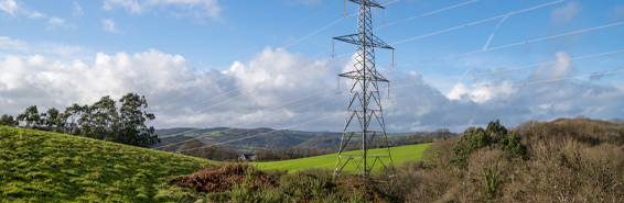 Devonshire countryside with rolling green fields and blue skies. Electricity pylons cross the landscape.